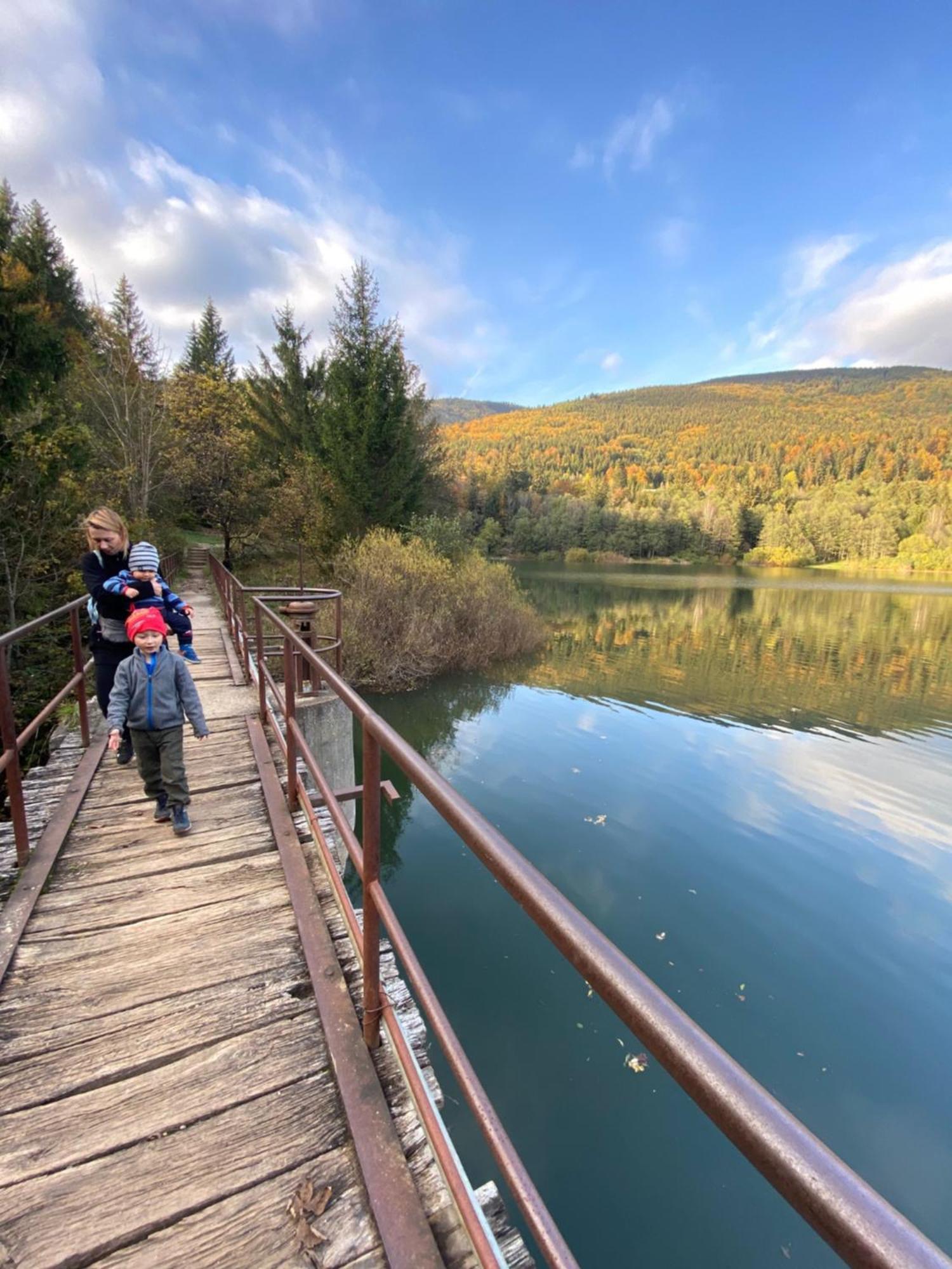 Вілла Drevenica Emilka, 5 Min Restauracia, Z Terasy Vyhlad Na Kralovu Holu A Polomske Ocko, Gril, Ohnisko, Kotlik Брезно Екстер'єр фото