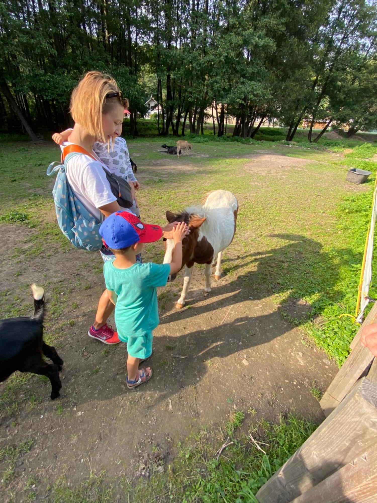 Вілла Drevenica Emilka, 5 Min Restauracia, Z Terasy Vyhlad Na Kralovu Holu A Polomske Ocko, Gril, Ohnisko, Kotlik Брезно Екстер'єр фото